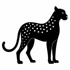 Cheetah on white background 