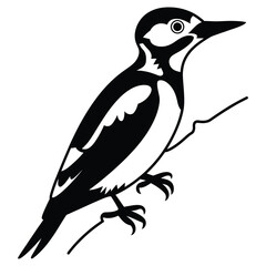 Obraz premium Black and White Woodpecker Bird Silhouette Art