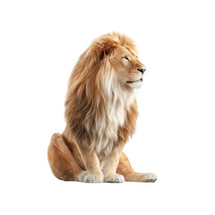 Obraz premium A majestic lion sitting gracefully with a full mane. showcasing its strength and beauty against a clean white background. perfect for wildlife photography or animal conservation themes