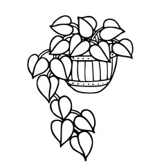 greenery pot with dangling leaves