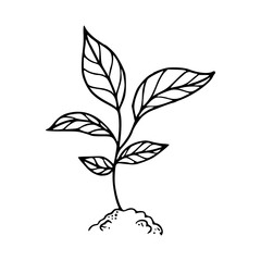 young plant sprout illustration