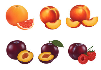 Assorted Fresh Fruit Still Life: Orange, Peach, and Plum Set | Close Up Isolated Food Illustration for Healthy Eating, Recipe Graphics, and Fruit Product Marketing