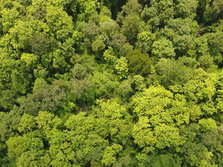 Naklejka premium Top View Aerial Photograph