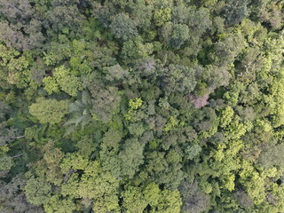 Naklejka premium Top View Aerial Photograph