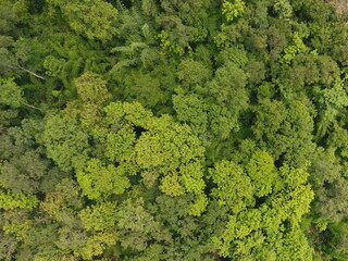 Naklejka premium Top View Aerial Photograph