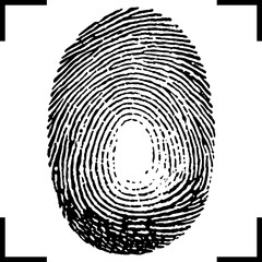 Password identity. Fingerprint icon. Eps10.