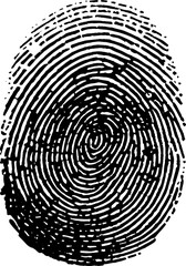 Fingerprint texture on white background. Digital procedure generated. Realistic with pores and scratches. Clean high resolution image. Good for biometrics and dataloscopy concepts.