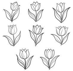 Set Of tulip  vector illustration