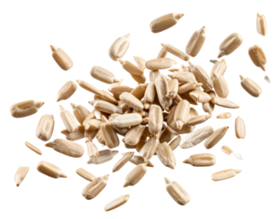  - Shelled Sunflower Seeds Floating and Twisting in Air, isolated PNG.