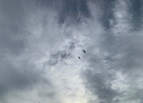 A sky with dark clouds and birds flying.