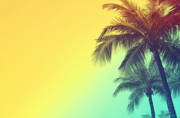Palm trees against a vibrant sunset gradient