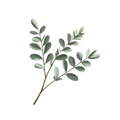Obraz premium Eucalyptus leaves, isolated on white background, minimal, elegant, fresh.