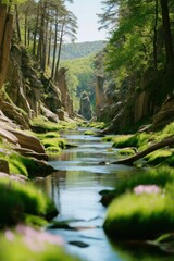 Fototapeta premium Picturesque mountain stream flowing through a lush forest