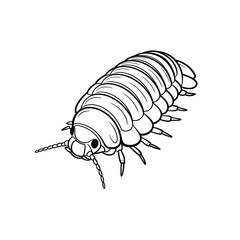 Cartoon Pill Bug or Woodlouse Illustration in Black and White