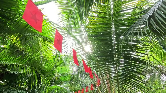 Walking under lush green palm trees with red flags hanging along the pathway, creating a vibrant tropical atmosphere.