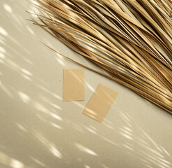 Real photo cards mockup design natural diagonal organic window light shadow overlay palm leaf beige