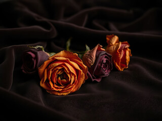 Vibrant orange and deep purple roses on dark fabric create dramatic and elegant floral composition