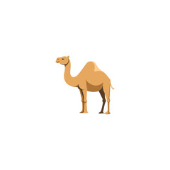 camel.eps