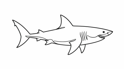 Line Art Great White Shark Illustration
