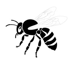 vector illustration of a bee