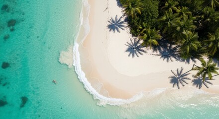 Aerial View of Secluded Tropical Beach with Swimmer