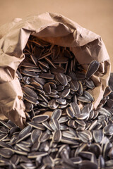  Healthy Snack – Grey Sunflower Seeds Isolated - Grey Shell Sunflower Seeds for Snack or Planting