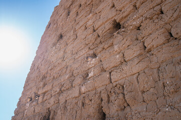 Sparrows nest in the ancient mud wall of the Abu Simbel Temples in Aswan, Egypt. This unique moment blends wildlife with monumental history.