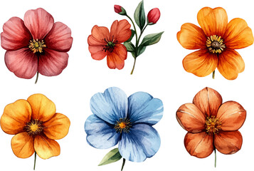 Fototapeta premium collection of flowers