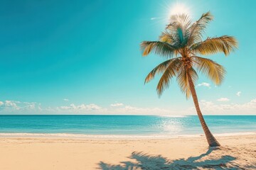 Sunny beach day with palm tree and clear blue sky inviting relaxation and leisure by the ocean, Sunny day on sandy beach with clear blue sky, warm sunlight and one palm tree