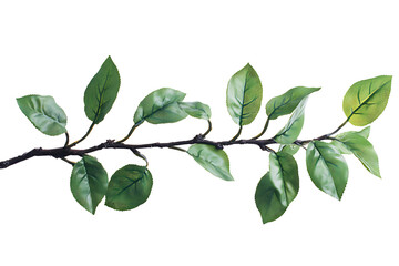 Fototapeta premium Lush Green Branch with Detailed Leaves Perfect for Spring Designs Botanical Illustrations Nature Photography