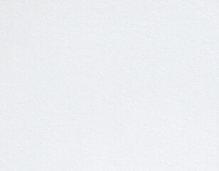 エンボス加工の和紙/Embossed Japanese paper