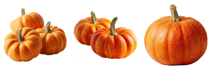 Orange Pumpkins Whole Fruits set on Transparent Background
