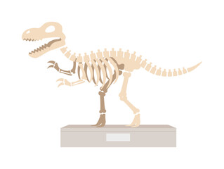 Dinosaur Skeleton Fossil Displayed on Stand at Museum, T Rex Bone Illustration © Colorfuel Studio