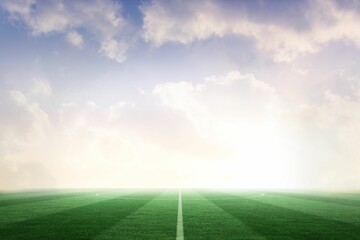 Football pitch under blue sky © vectorfusionart