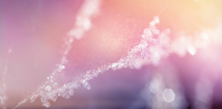 Fototapeta Frost on leaf with bokeh in foreground