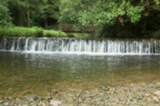 Fototapeta Scenic view of waterfall in forest