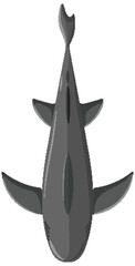 Top-Down View of a Shark
