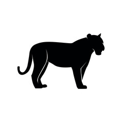 Obraz premium black silhouette of tiger animal. animal symbol