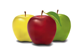Three realistic colorful apples red, green, and yellow fruit isolated on white background.