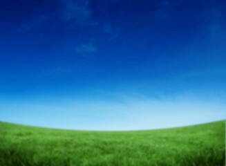 Grassy field against blue sky