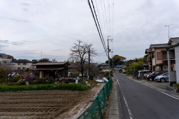 Kyoto Trail and surrounding area scenery	