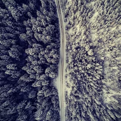 Vitrage gordijnen Snow covered region during winter © vectorfusionart