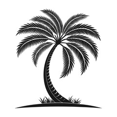palm tree silhouette
