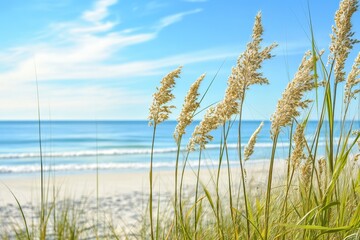 Sunny beach with sea oats swaying gently under clear skies and calm ocean waves, Sea oats along sunny beach with clear skies