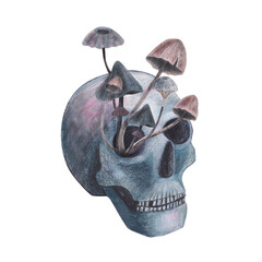 Scull with mushrooms toadstool in the eye gothic magical texture isolated on white background. Watercolor hand drawn skull illustration. Art for design mystical halloween witch decoration, scary card
