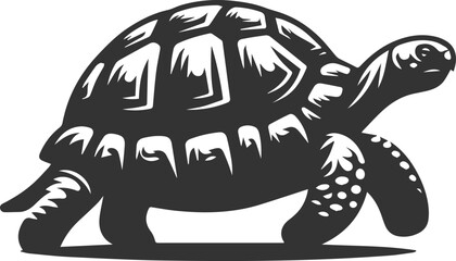 Drawing silhouette of a tortoise animal vector black