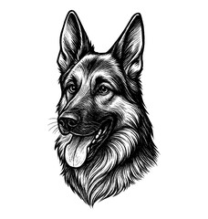Detailed Engraved Portrait of German Shepherd Dog with Open Mouth and Tongue Out
