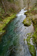 Aerial View of wide flowing river in a temperate rain forest. Taken while hiking along the Wilson River in the Tillamook National Forest on an overcast day in March.