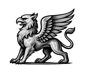 Obraz premium Engraved Illustration of a Majestic Griffin with Detailed Line Work and Strong Presence