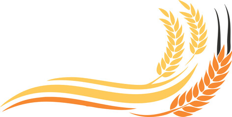 Fototapeta premium Agriculture wheat vector Illustration design template